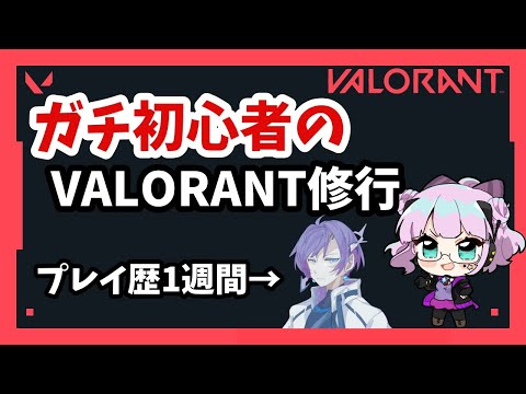 【🌟初見歓迎】初心者がちょっとだけVALORANT修行！【Vtuber】