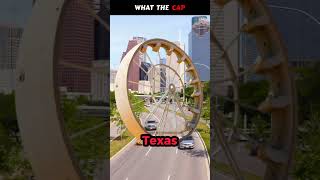 The world's LARGEST HAMSTER wheel #shorts