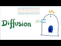 Cell Membrane Transport and Diffusion in Biology and Chemistry