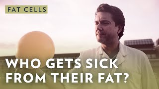 Who Is Getting Sick From Their Fat Cells?