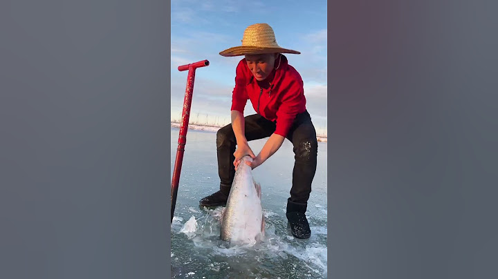 Poor red $ ice-fish hole😢