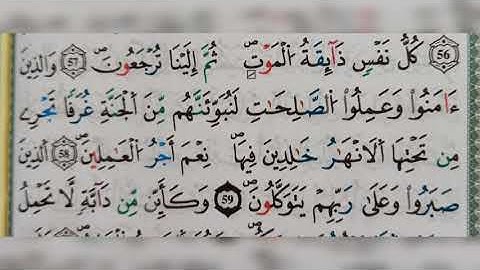 سورة العنكبوت الآية ٥٨-٥٩(58-59)