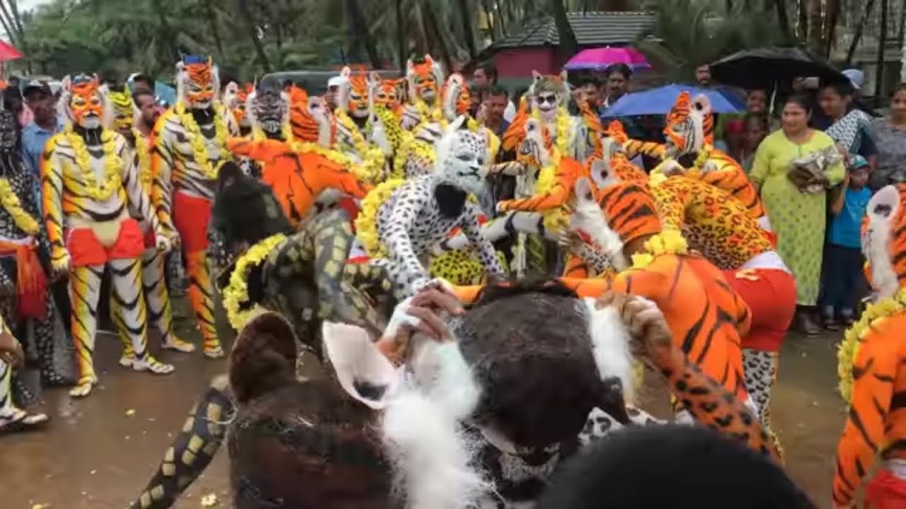 Astami  malpe  pili vesha  tiger dance  2019  udupi  malpe 