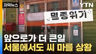 [자막뉴스] 서울도 못 피한 줄폐업...정부는 '특단 …