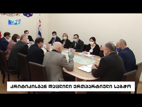 კრიტიკისგან დაცლილი ერთპარტიული საბჭო