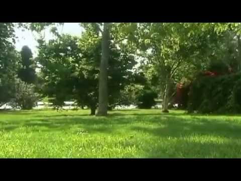 Газонокосилка Honda HRX476C1