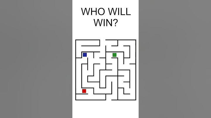 WHO WILL WIN THE MAZE RACE?