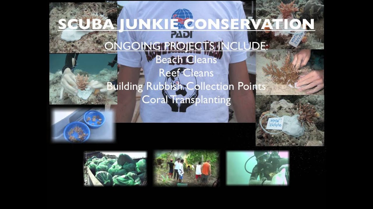 Scuba Junkie Conservation