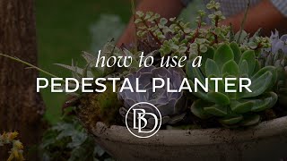 How to use a Pedestal Planter with James Farmer and Ballard Designs