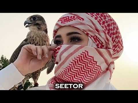    شيرين بتمنى أنساك  