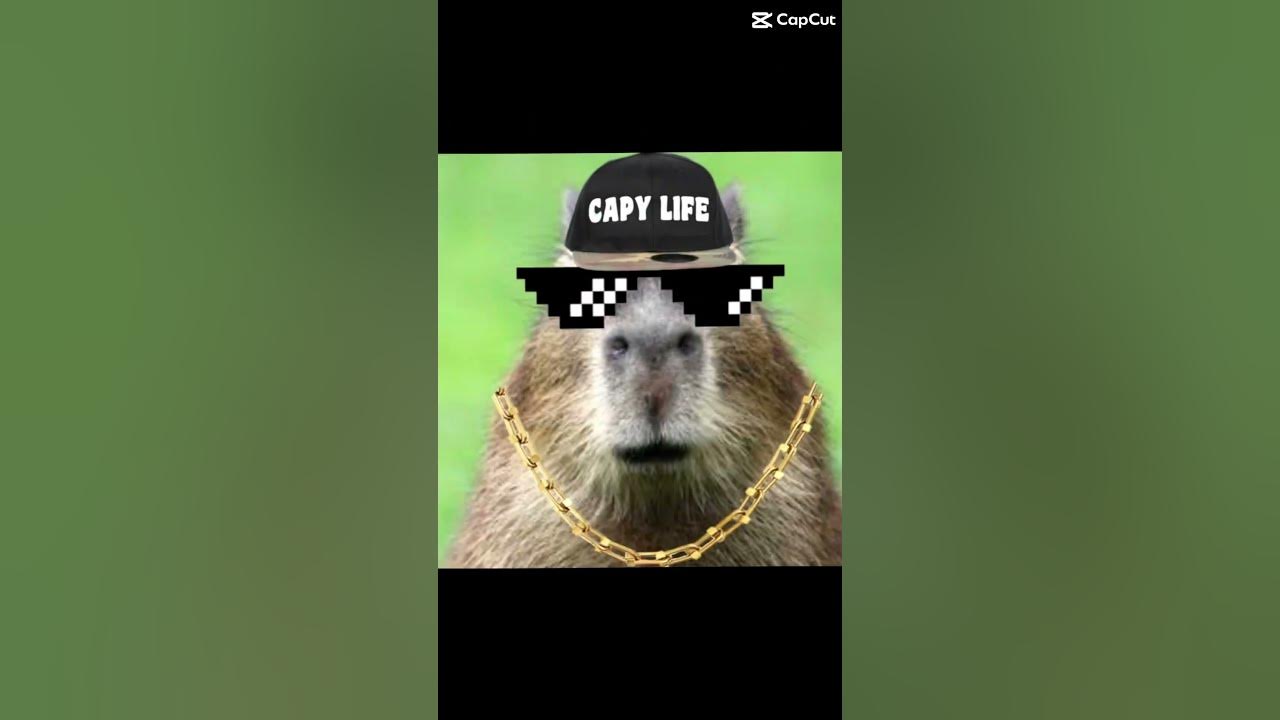 I Got 20 Dollars In My Pocket Lyrics Only got 20 dollars in my pocket💰💰 - YouTube