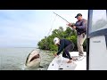 Massive shark breaks fishing rod too close for comfort