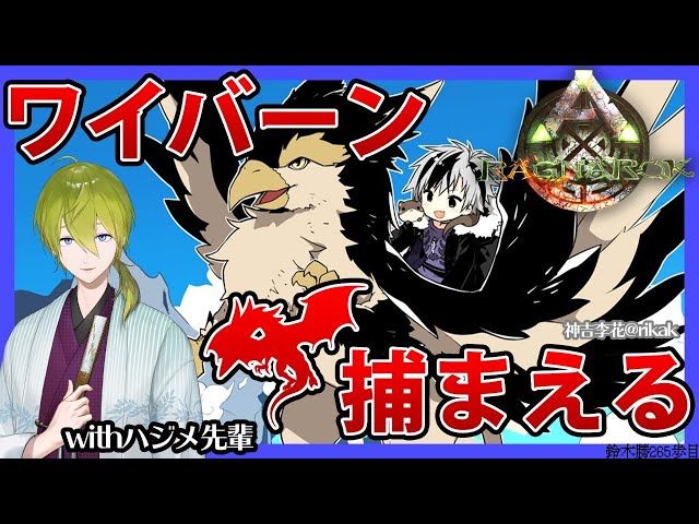 #11【ARK:Ragnarok】ワイバーン捕獲チャレンジ！！withハジメ先輩【鈴木勝/にじさんじ】のサムネイル