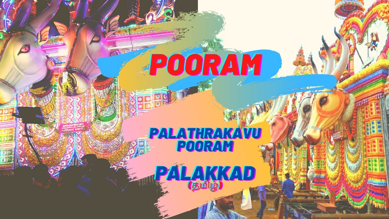 Most entertaining Pooram in Palakkad | Palathara Bhaghavathy Temple Kadampazhipuram Palakkad