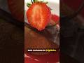 Bolo de frigideira, de um jeito fácil de fazer! #bolo ##bolodefrigideira #bolocremoso