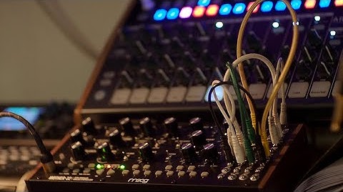 Arturia Matrix Brute + Moog Mother 32 + gelegentlich Arturia Drum Brute.