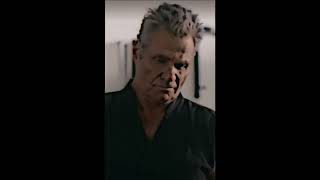 Hawk Gets Revenge On The Bully