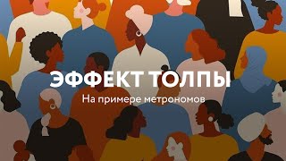 Эффект толпы на примере метрономов