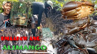 UNSTOPPABLE NA SPOT/ Ang lalaki Ng alimango 1kg Ang Isang piraso