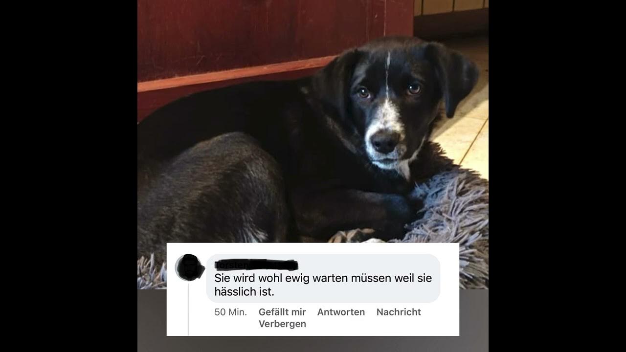 Menschen werden immer seltsamer! 🤷🏻‍♀️ YouTube