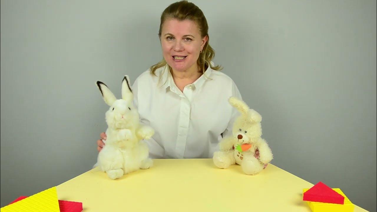 Развивающее Занятие для детей 1-3 лет. В гостях у зайки - YouTube