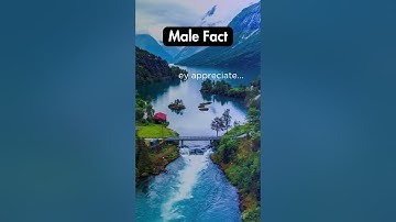 How Men Truly Appreciate 💖 the Little Things | Heartfelt Insights