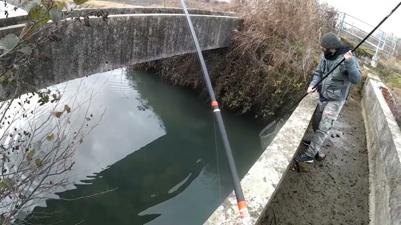 Un grosso pesce mette in difficoltà l'amico guadinatore