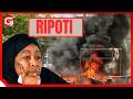 Live RAIS SAMIA ANAPOKEA RIPOTI YA UCHUNGUZI KUHUSU VURUGU ZA UCHAGUZI WA OCT 29 2025 TANZANIA 