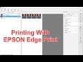 Epson Edge Print - A Detailed Dive Through The Software