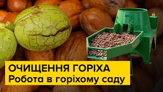 Очистка зеленого волоського горіха за допомогою мийки на 700 кг/год