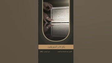 آية (44) من سورة يونس - (إِنَّ اللَّهَ لَا يَظْلِمُ النَّاسَ شَيْئًا وَلَٰكِنَّ النَّاسَ ....)