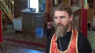 Наслаждения - это естественно. Отец Димитрий Наслаждения - это естественно. Отец Димитрий