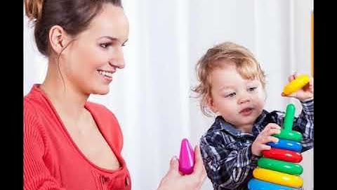 What Is the Premotor Cortex