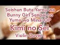 “Kimi no Sei” Seishun Buta Yarou wa Bunny Girl Senpai no Yume wo Minai OP  (Violin Cover)