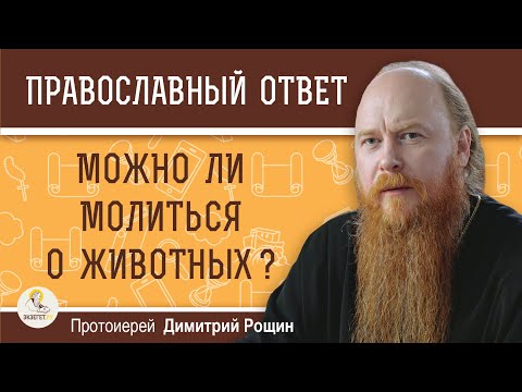 МОЖНО ЛИ МОЛИТЬСЯ О ЖИВОТНЫХ ?  Протоиерей Дмитрий Рощин