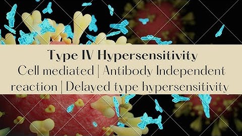 Type IV Hypersensitivity | Antibody Independent | Cell mediated | Delayed type hypersensitivity.