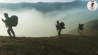 Bilsen Şimdi Nerdeyim, Çılgın Gecelerdeyim Jöh Pöh Özel Klip