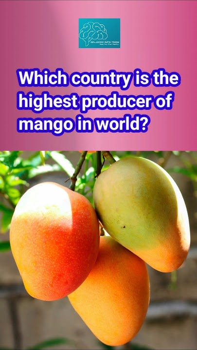 a-quick-knowledge-quiz-which-country-is-the-highest-producer-of-mango