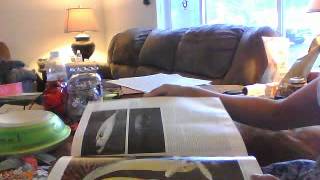 Vintage Dictionary pages in my zibbet store