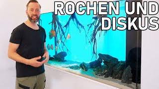 Verkorkstes Rochen und Diskus Aquarium wird gerettet!