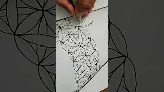 Wait… This Pattern Flows Like Magic 😍 | Zentangle PP29 Day 1 Content