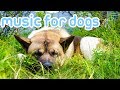 Deep Separation Anxiety Music for Dogs! Helped Over 10 Million Dogs! Deep Separation Anxiety Music for Dogs! Helped Over 10 Million Dogs!