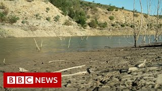 South African town running out of water - BBC News