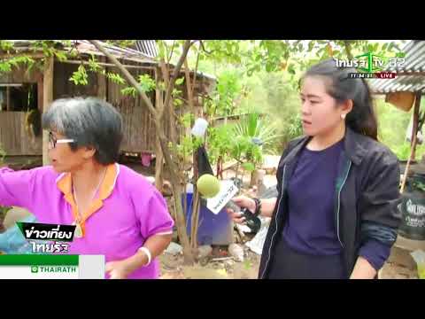 ข่าว รถ ทัวร์ ชน ล่าสุด วัน นี้