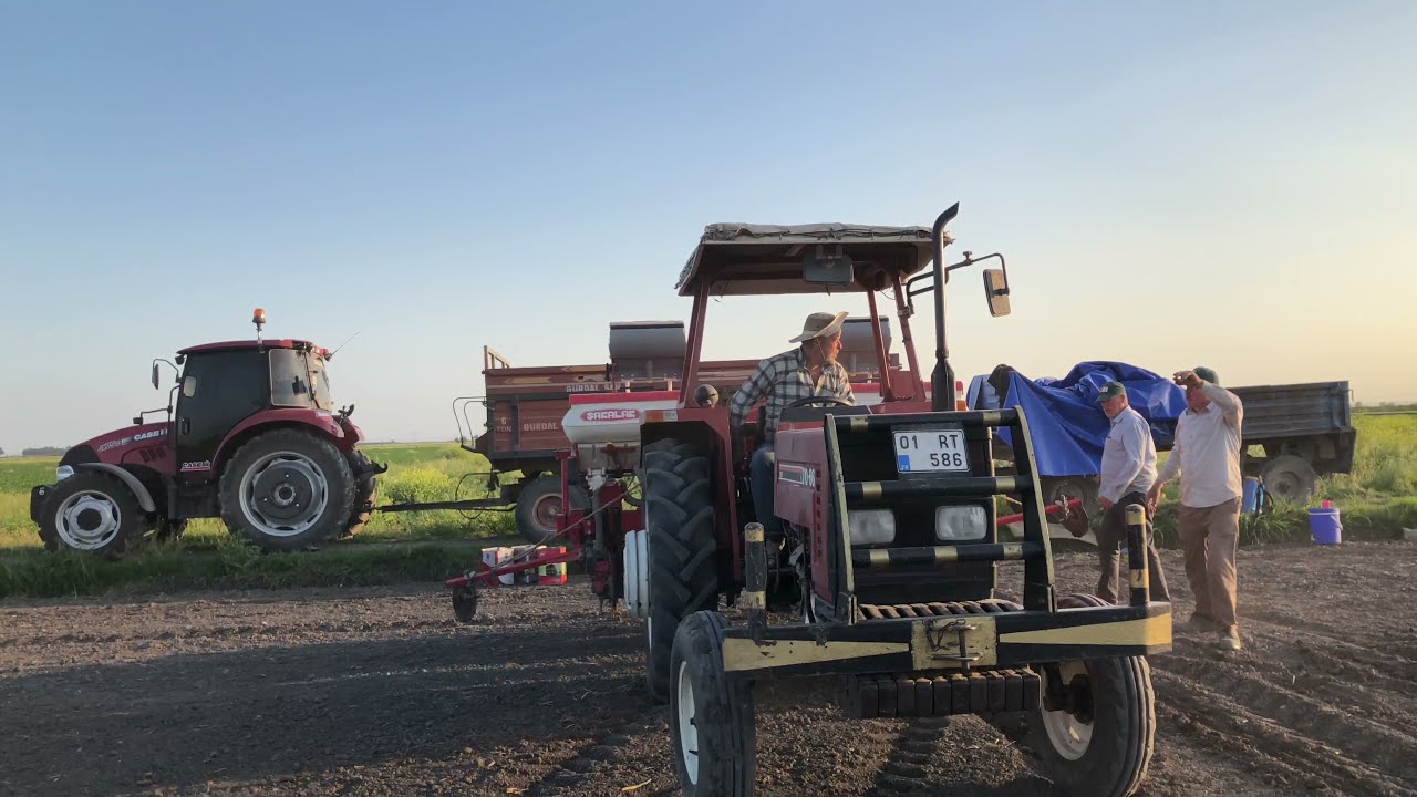 Yerfıstığı Ekimine Devam Ediyoruz. Farklı Taban Gübreleri Kullandık Yerfıstığı Yetiştiriciliği