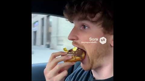 Sora ai compilations pt2