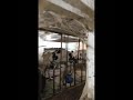 cleaning up the dairy barn