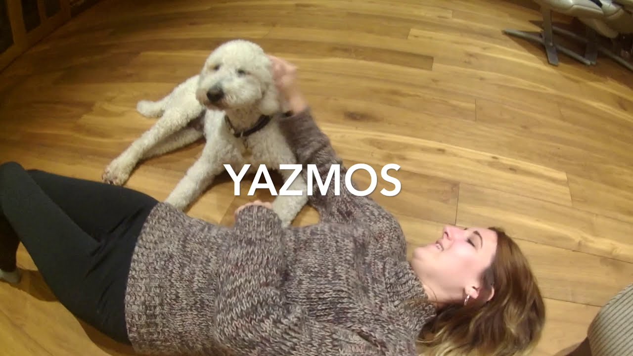 NOT A FASHION GURU : LASHES