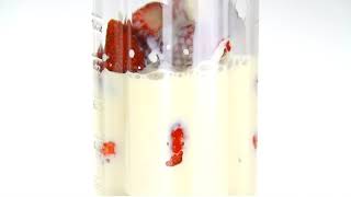 Hello Kitty Blender Bottle Video