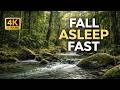 You’ll Fall Asleep in Minutes 🌿 Crystal Jungle River Sounds for Deep Sleep &amp; Focus (4K)